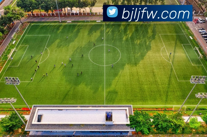 百家乐网站平台生态图